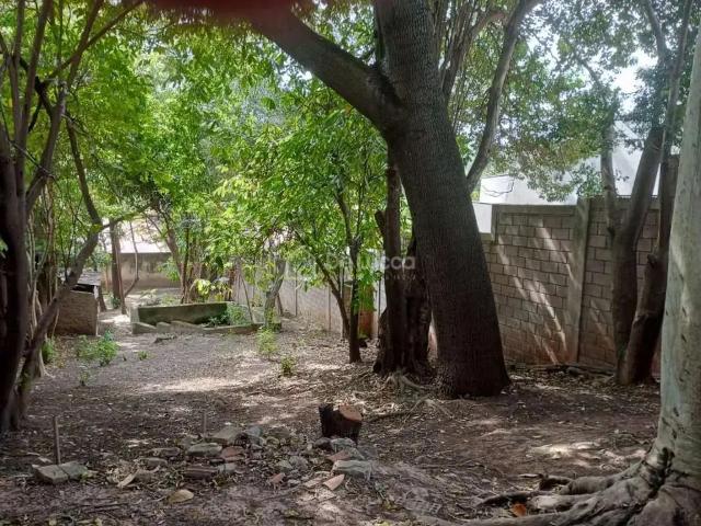 Terreno aluguel em Região Imediata de Campinas, Região Metropolitana de Campinas