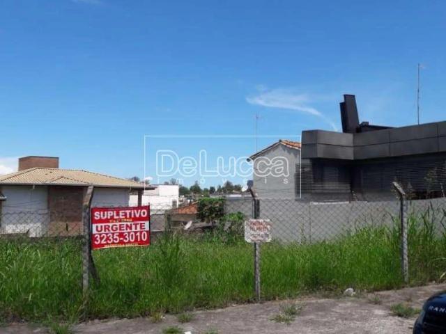 Terreno aluguel em Campinas