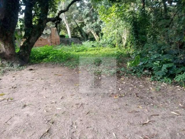 Terreno aluguel em Região Imediata de Campinas, Região Metropolitana de Campinas