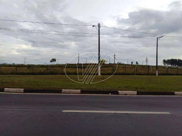 Terreno aluguel em Bairro das Palmeiras, Campinas