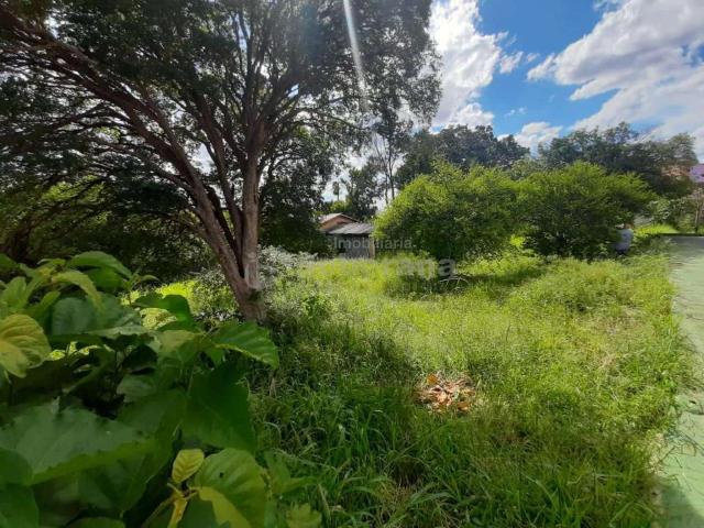 Terreno aluguel em Campinas