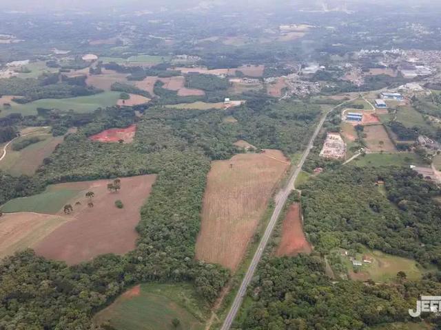 Terreno aluguel em Região Geográfica Imediata de Curitiba, Região Metropolitana de Curitiba