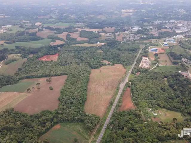 Terreno aluguel em Região Geográfica Imediata de Curitiba, Região Metropolitana de Curitiba