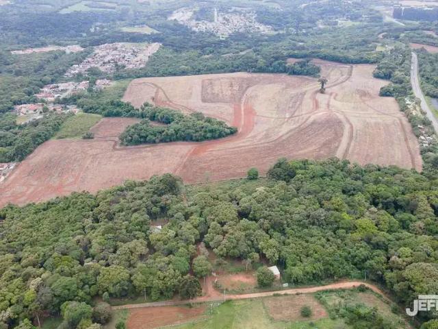 Terreno aluguel em Região Geográfica Imediata de Curitiba, Região Metropolitana de Curitiba
