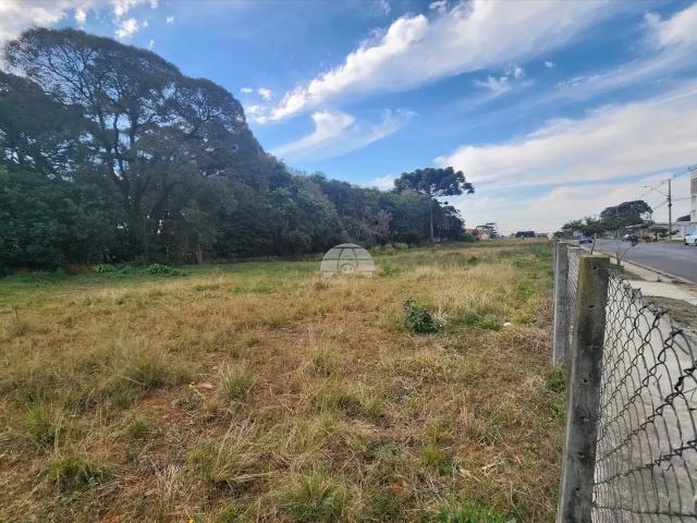 Terreno aluguel em Região Geográfica Imediata de Curitiba, Região Metropolitana de Curitiba