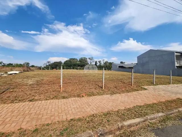 Terreno aluguel em Região Geográfica Imediata de Curitiba, Região Metropolitana de Curitiba