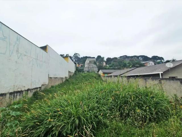 Terreno aluguel em Região Geográfica Imediata de Curitiba, Região Metropolitana de Curitiba