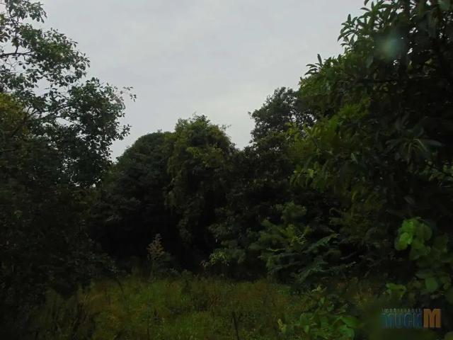 Terreno aluguel em Região Geográfica Imediata de Porto Alegre, Região Metropolitana de Porto Alegre