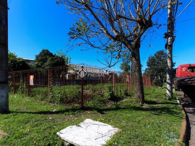 Terreno aluguel em Canoas