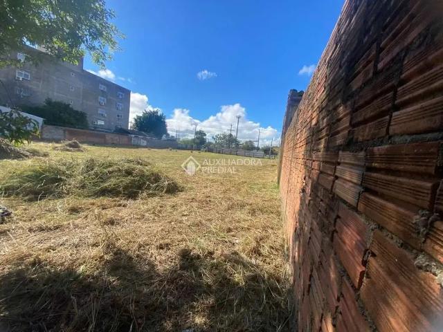 Terreno aluguel em Região Geográfica Imediata de Porto Alegre, Região Metropolitana de Porto Alegre