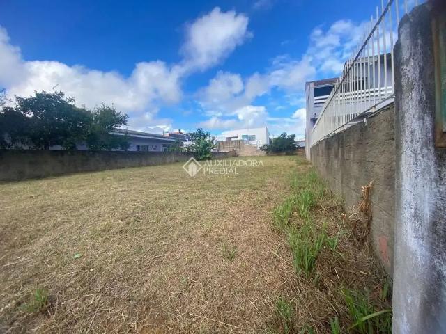 Terreno aluguel em Canoas