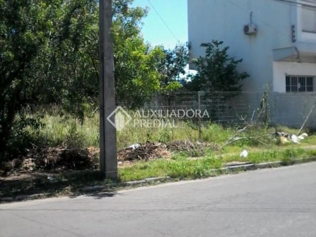 Terreno aluguel em Canoas