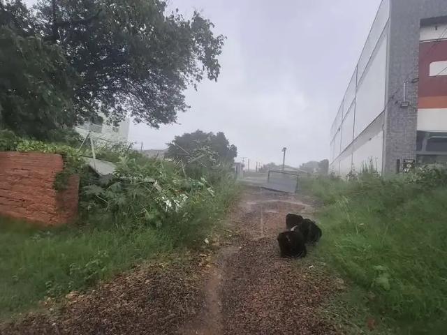 Terreno aluguel em Região Geográfica Imediata de Porto Alegre, Região Metropolitana de Porto Alegre