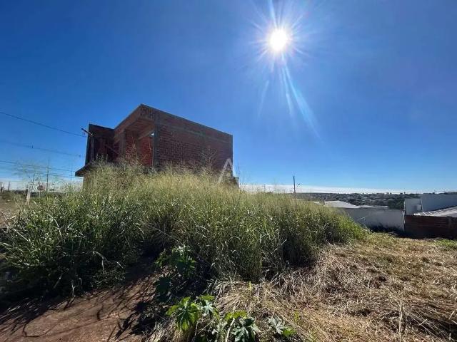 Terreno aluguel em Região Geográfica Imediata de Cascavel, Cascavel