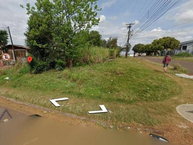 Terreno aluguel em Colméia, Cascavel