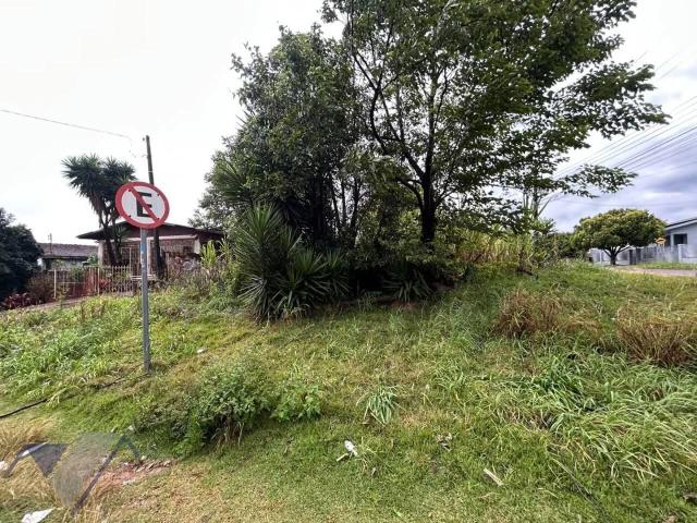 Terreno aluguel em Colméia, Cascavel