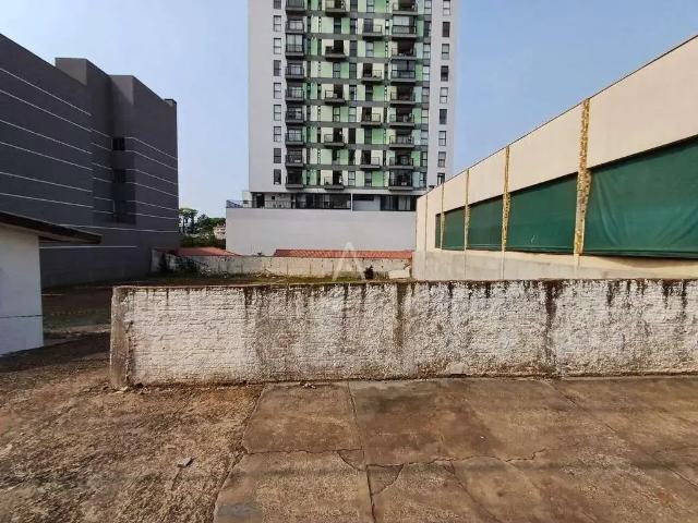 Terreno aluguel em Região Geográfica Imediata de Cascavel, Cascavel