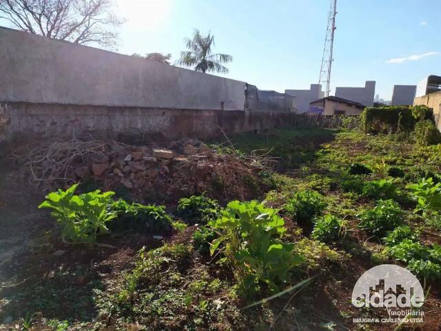 Terreno aluguel em Região Geográfica Imediata de Cascavel, Cascavel