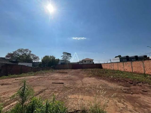 Terreno aluguel em Região Geográfica Imediata de Cascavel, Cascavel