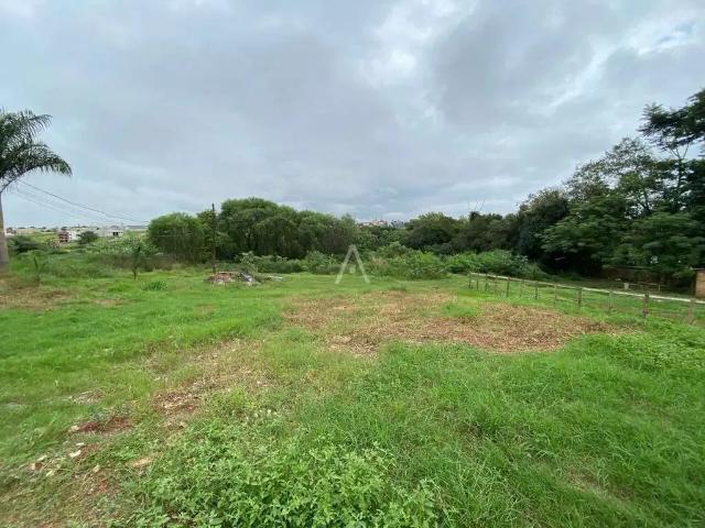 Terreno aluguel em Região Geográfica Imediata de Cascavel, Cascavel