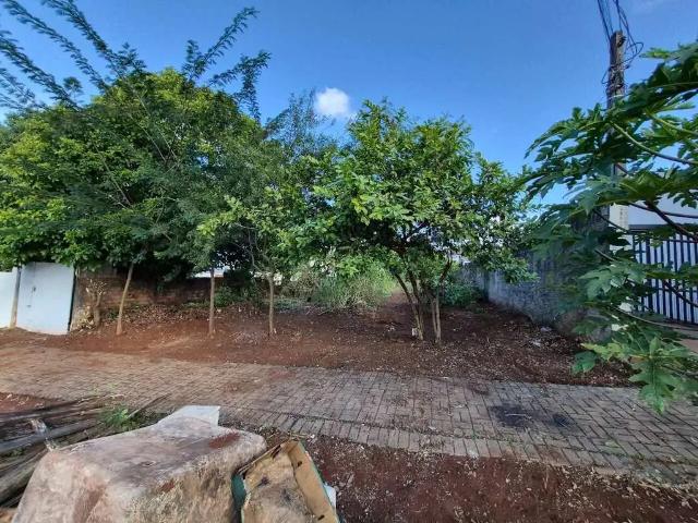 Terreno aluguel em Região Geográfica Imediata de Cascavel, Cascavel