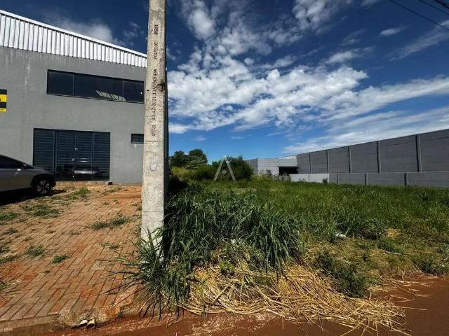 Terreno aluguel em Região Geográfica Imediata de Cascavel, Cascavel