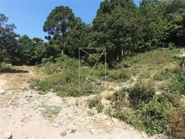 Terreno aluguel em Região Geográfica Imediata de Caxias do Sul, Flores da Cunha