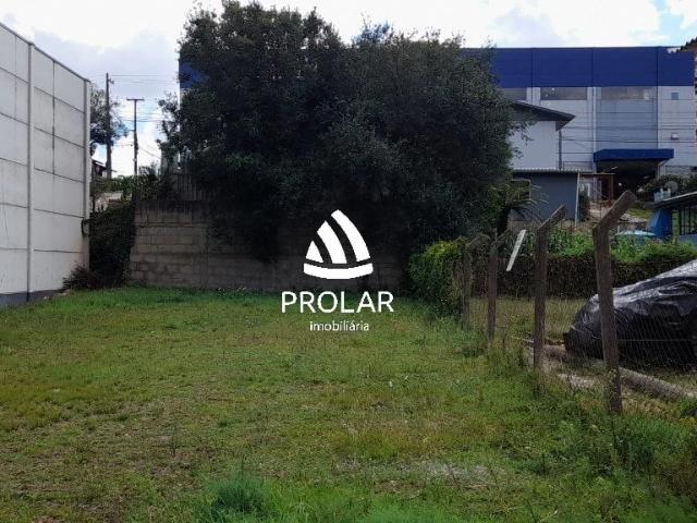 Terreno aluguel em Região Geográfica Imediata de Caxias do Sul, Caxias do Sul