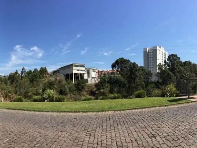 Terreno aluguel em Região Geográfica Imediata de Caxias do Sul, Caxias do Sul