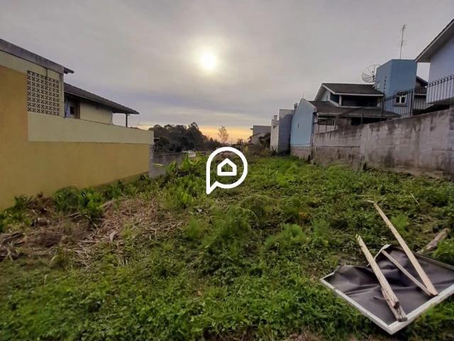 Terreno aluguel em Região Geográfica Imediata de Caxias do Sul, Caxias do Sul