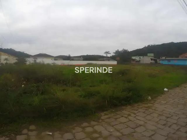 Terreno aluguel em Região Geográfica Imediata de Caxias do Sul, Caxias do Sul