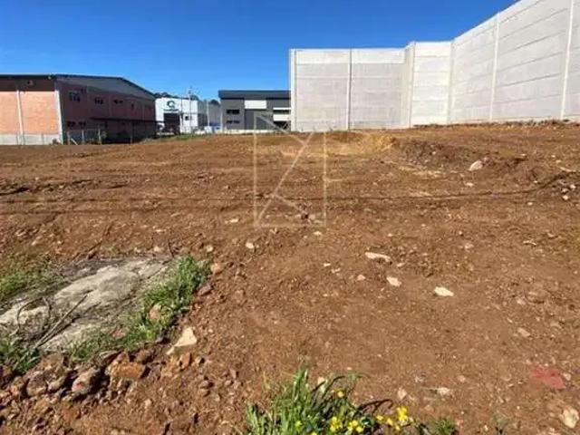Terreno aluguel em Região Geográfica Imediata de Caxias do Sul, Caxias do Sul