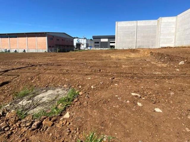 Terreno aluguel em Região Geográfica Imediata de Caxias do Sul, Caxias do Sul