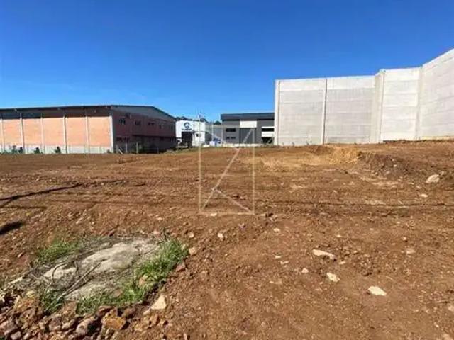 Terreno aluguel em Região Geográfica Imediata de Caxias do Sul, Caxias do Sul