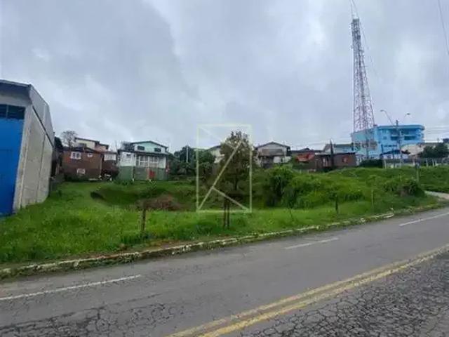 Terreno aluguel em Região Geográfica Imediata de Caxias do Sul, Caxias do Sul