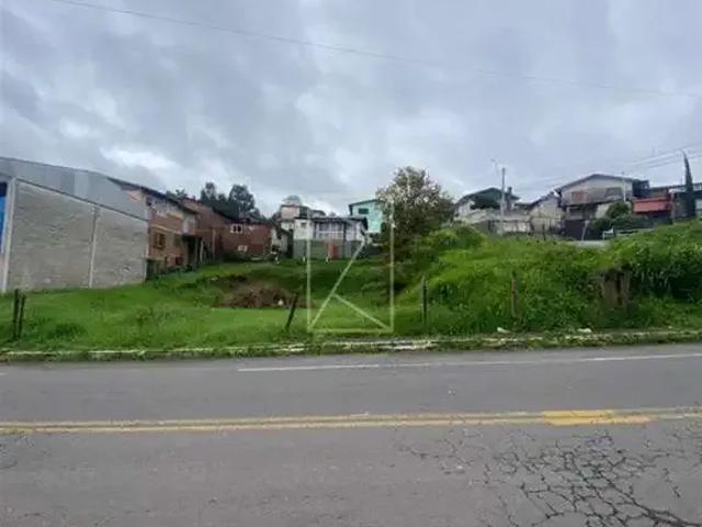 Terreno aluguel em Região Geográfica Imediata de Caxias do Sul, Caxias do Sul