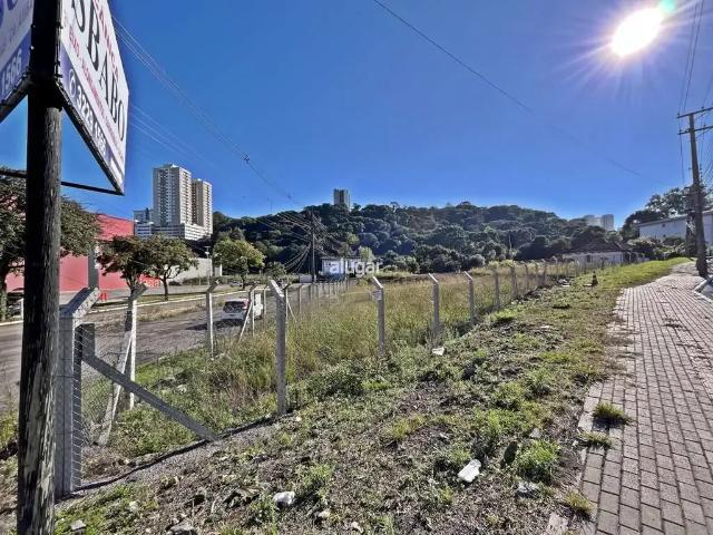 Terreno aluguel em Região Geográfica Imediata de Caxias do Sul, Caxias do Sul