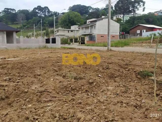 Terreno aluguel em Região Geográfica Imediata de Caxias do Sul, Caxias do Sul