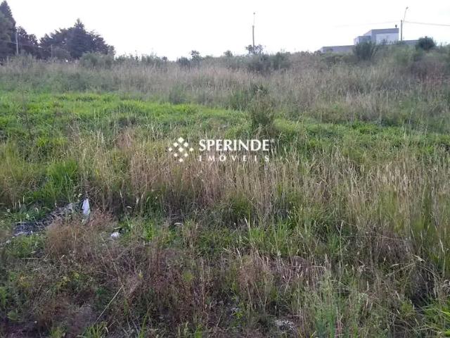 Terreno aluguel em Região Geográfica Imediata de Caxias do Sul, Caxias do Sul