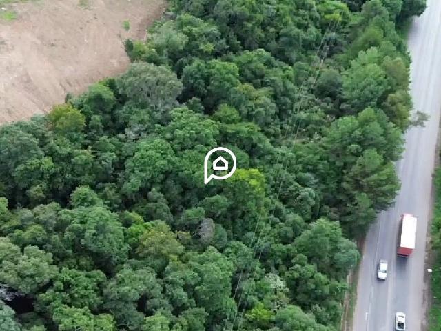 Terreno aluguel em Região Geográfica Imediata de Caxias do Sul, Caxias do Sul