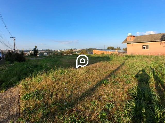 Terreno aluguel em Região Geográfica Imediata de Caxias do Sul, Caxias do Sul
