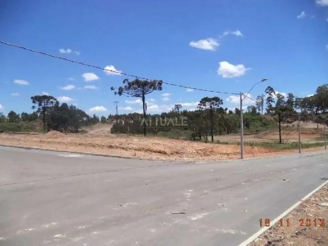 Terreno aluguel em Região Geográfica Imediata de Caxias do Sul, Caxias do Sul