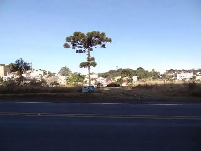 Terreno aluguel em Região Geográfica Imediata de Curitiba, Região Metropolitana de Curitiba