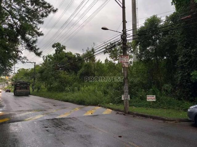 Terreno aluguel em Cotia