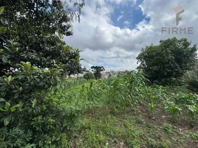 Terreno aluguel em Região Geográfica Imediata de Curitiba, Região Metropolitana de Curitiba