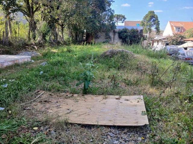 Terreno aluguel em Região Geográfica Imediata de Curitiba, Região Metropolitana de Curitiba