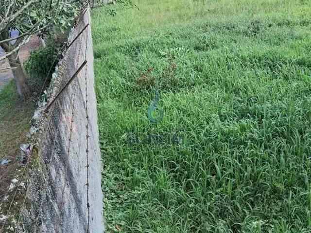 Terreno aluguel em Região Geográfica Imediata de Curitiba, Região Metropolitana de Curitiba
