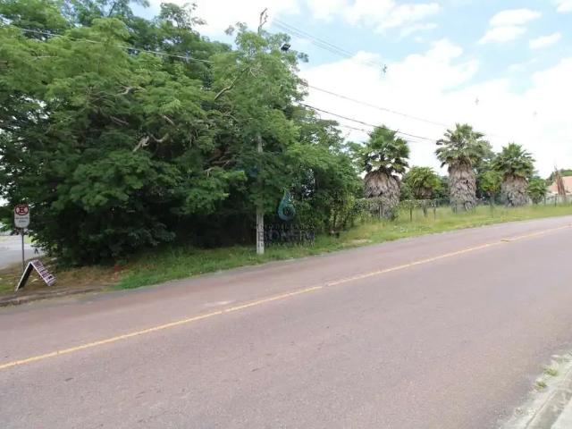 Terreno aluguel em Região Geográfica Imediata de Curitiba, Região Metropolitana de Curitiba