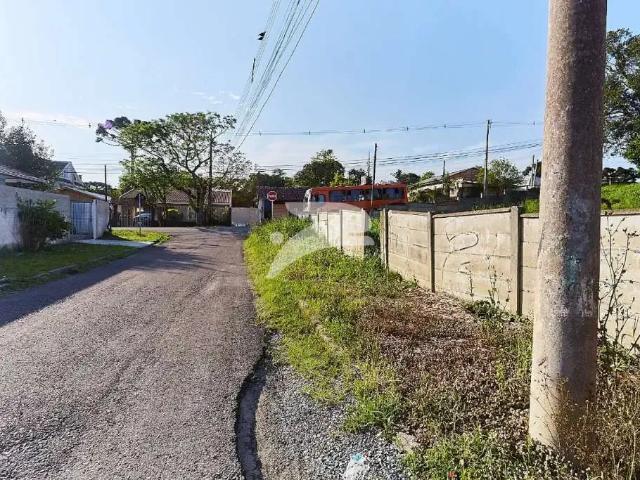 Terreno aluguel em Região Geográfica Imediata de Curitiba, Região Metropolitana de Curitiba