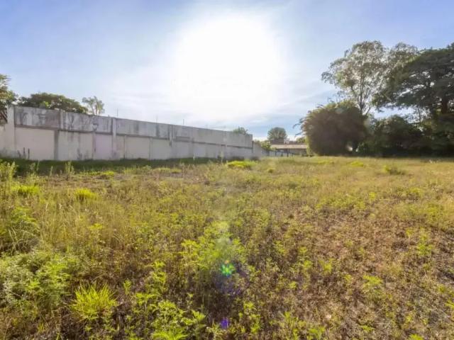 Terreno aluguel em Região Geográfica Imediata de Curitiba, Região Metropolitana de Curitiba